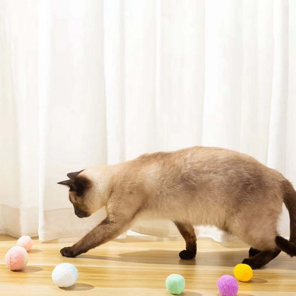 ColorPop Cat Ball Set