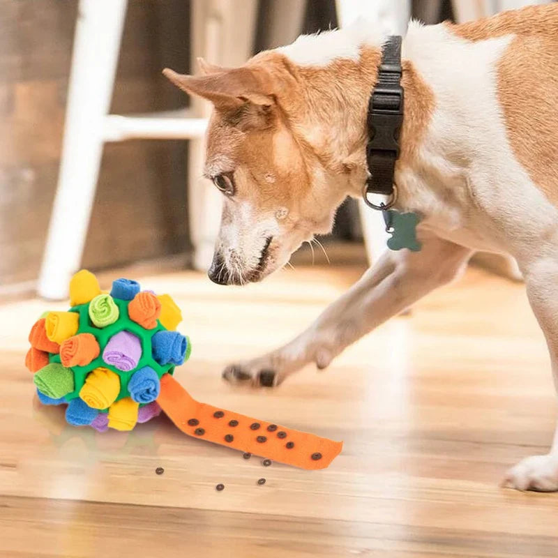 SniffRoll Puzzle Ball