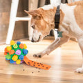 SniffRoll Puzzle Ball