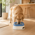 SplashGuard Large Capacity Pet Water Bowl