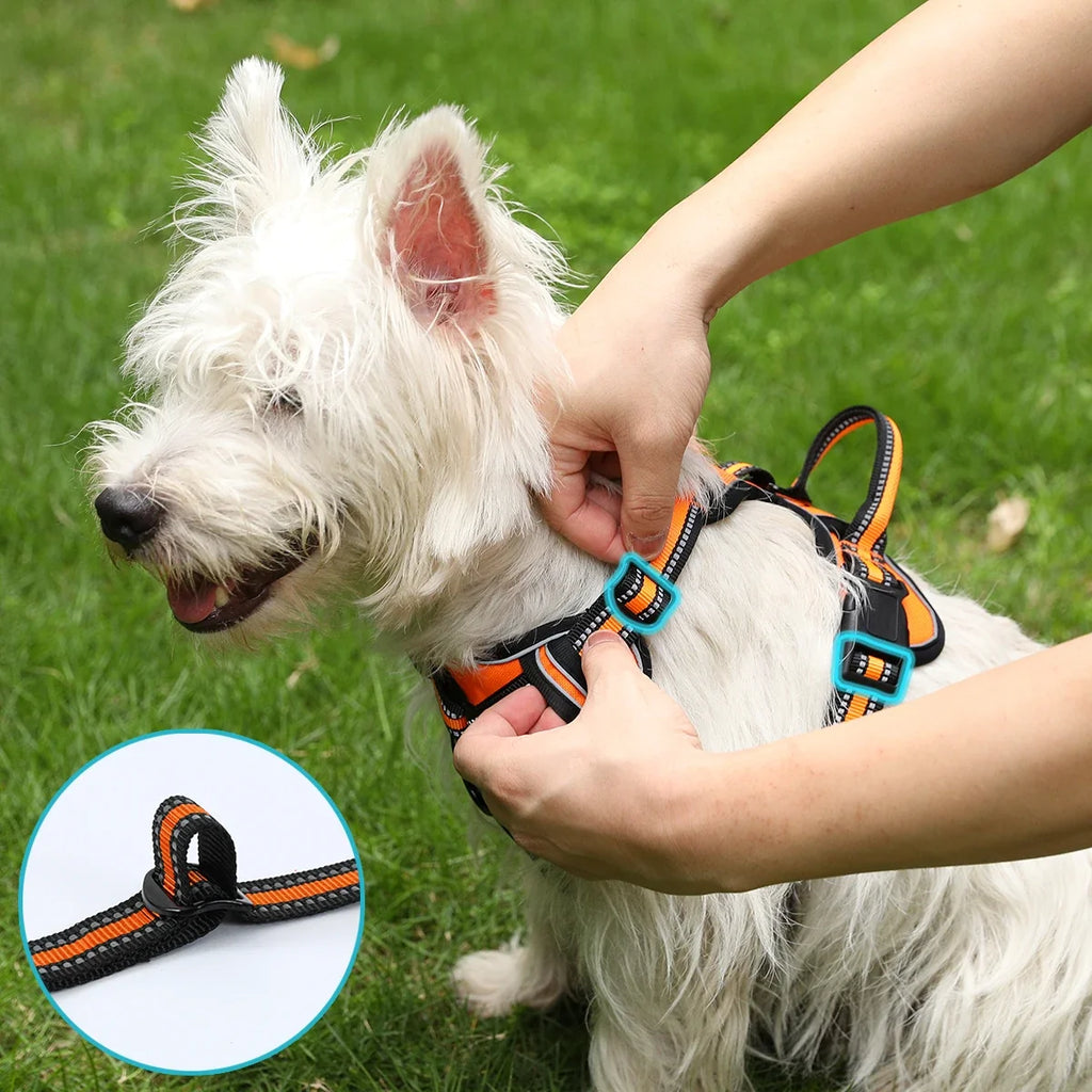 SafeStride Adjustable Reflective Dog Harness Vest