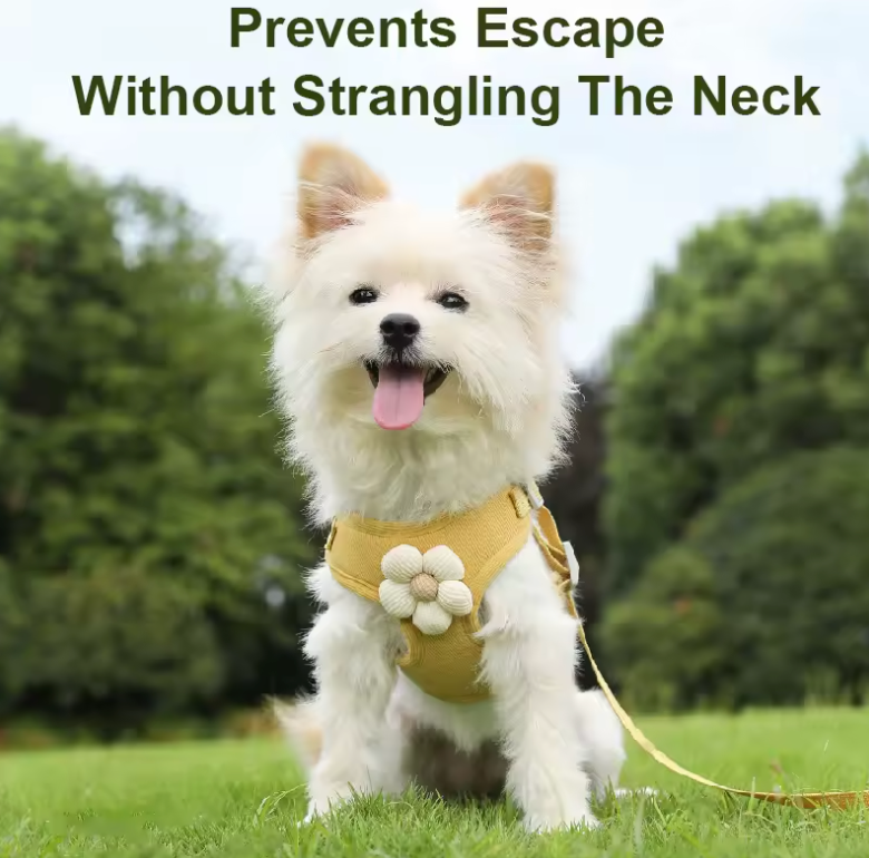 TrailMate Adjustable Dog & Cat Harness + Leash Set