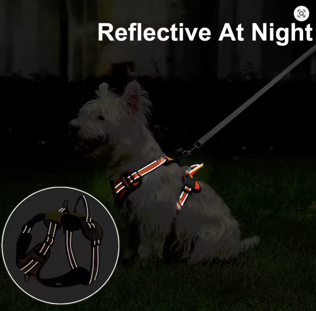 SafeStride Adjustable Reflective Dog Harness Vest