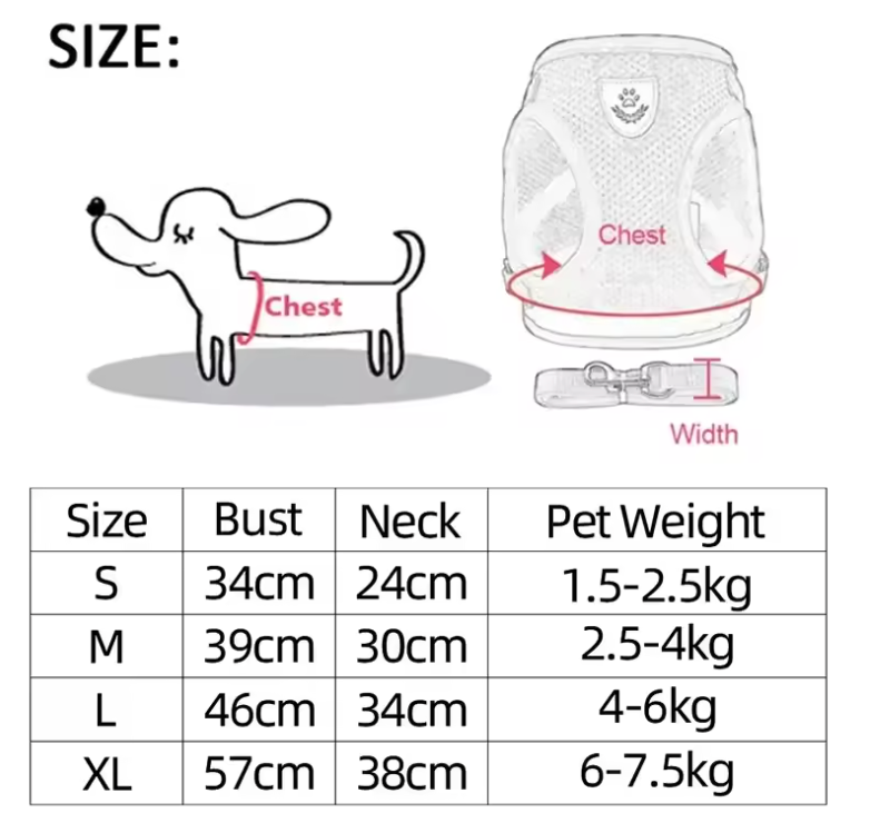 FlexiFit Adjustable Pet Harness & Leash Set