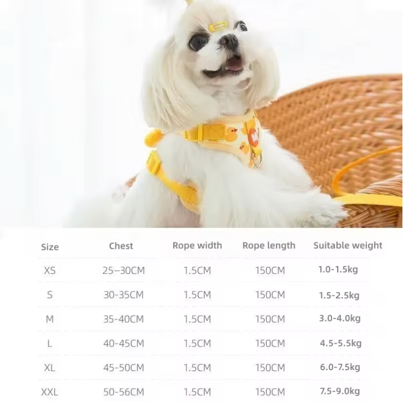 Quacky-Cute Adjustable Dog Harness & Leash Set
