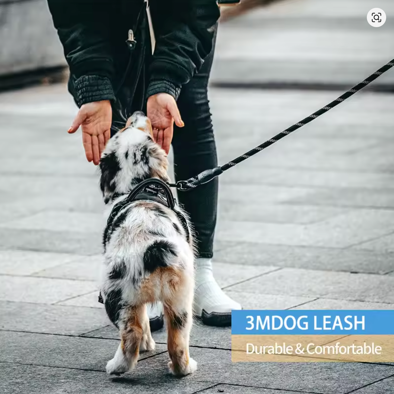 Long-Reach Reflective Round Climbing Leash