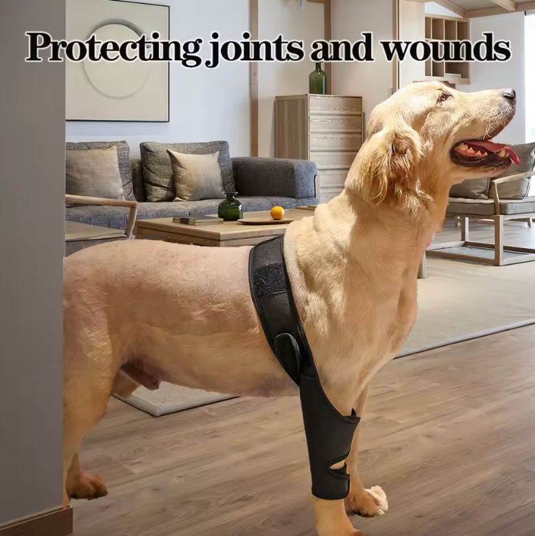 HipGuard Universal Dog Joint Support Harness