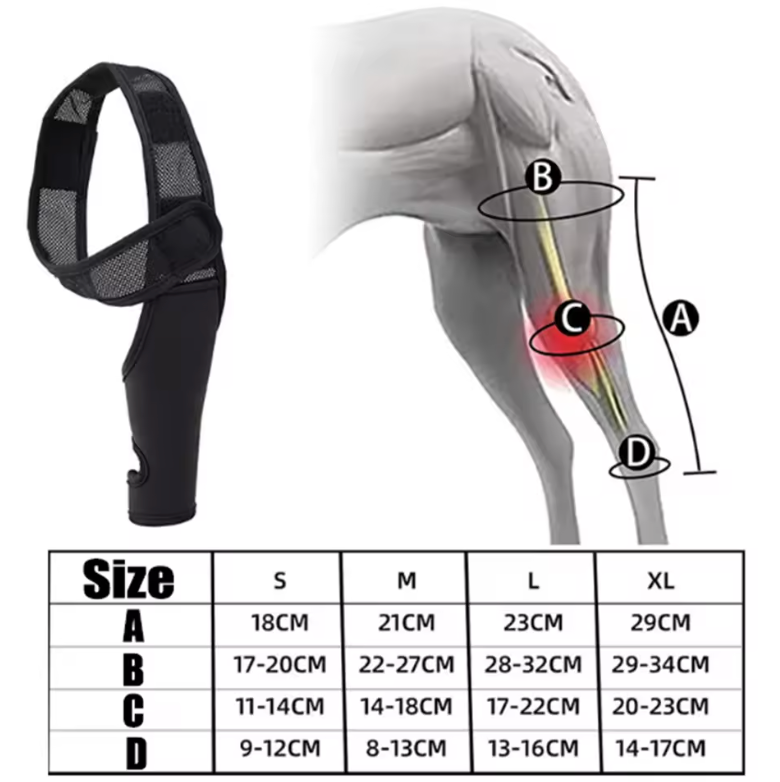 HipGuard Universal Dog Joint Support Harness