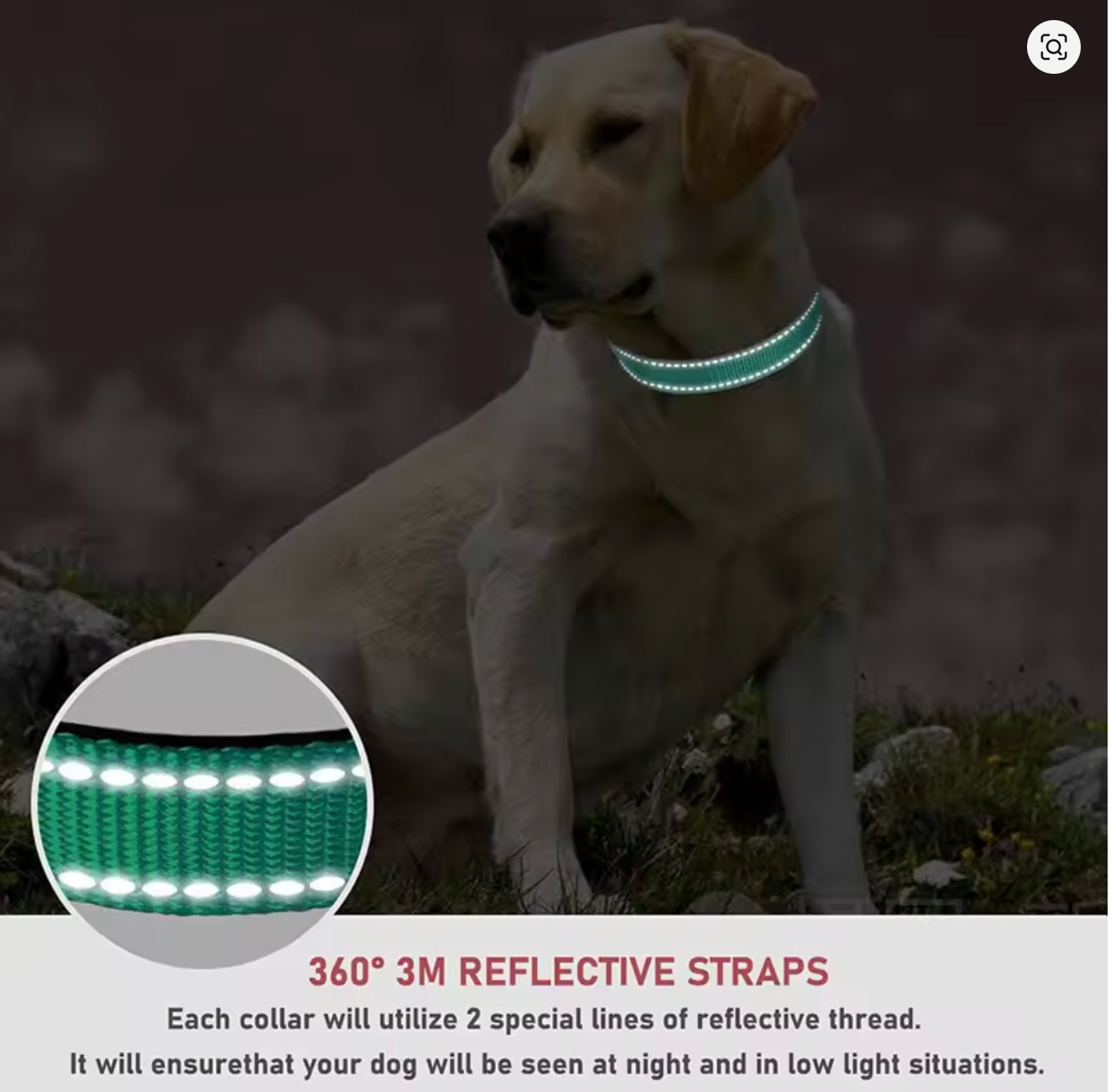 SteadyGlow Safety Set