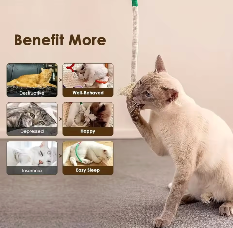 Minty-Fresh Feline Chew