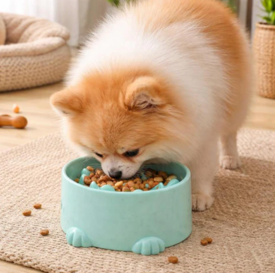 Slow-Feeding Nutri-Mat