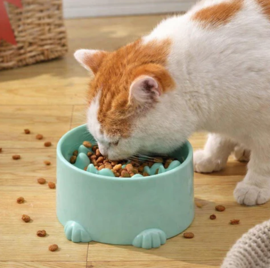 Slow-Feeding Nutri-Mat