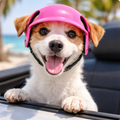 MotoPup Adjustable Pet Helmet