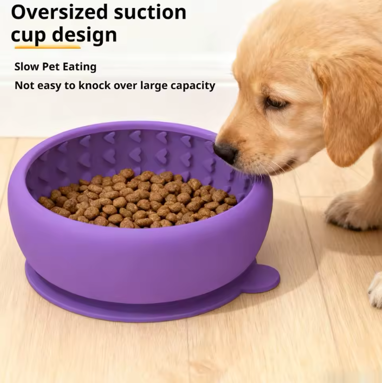 PacePup Slow-Feeder Bowl
