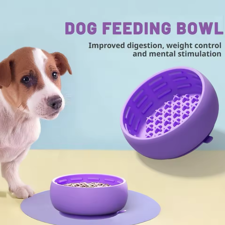PacePup Slow-Feeder Bowl