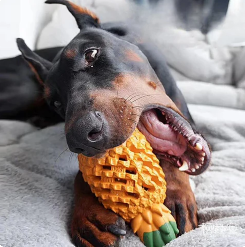 Titan-Pineapple Treat-Dispenser