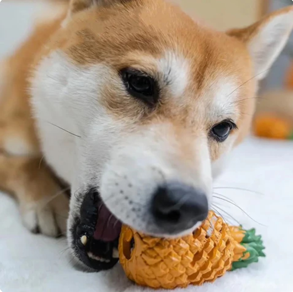 Titan-Pineapple Treat-Dispenser