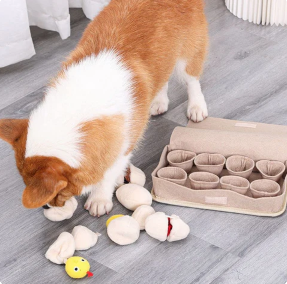 Egg-Harvest Interactive Snuffle-Box