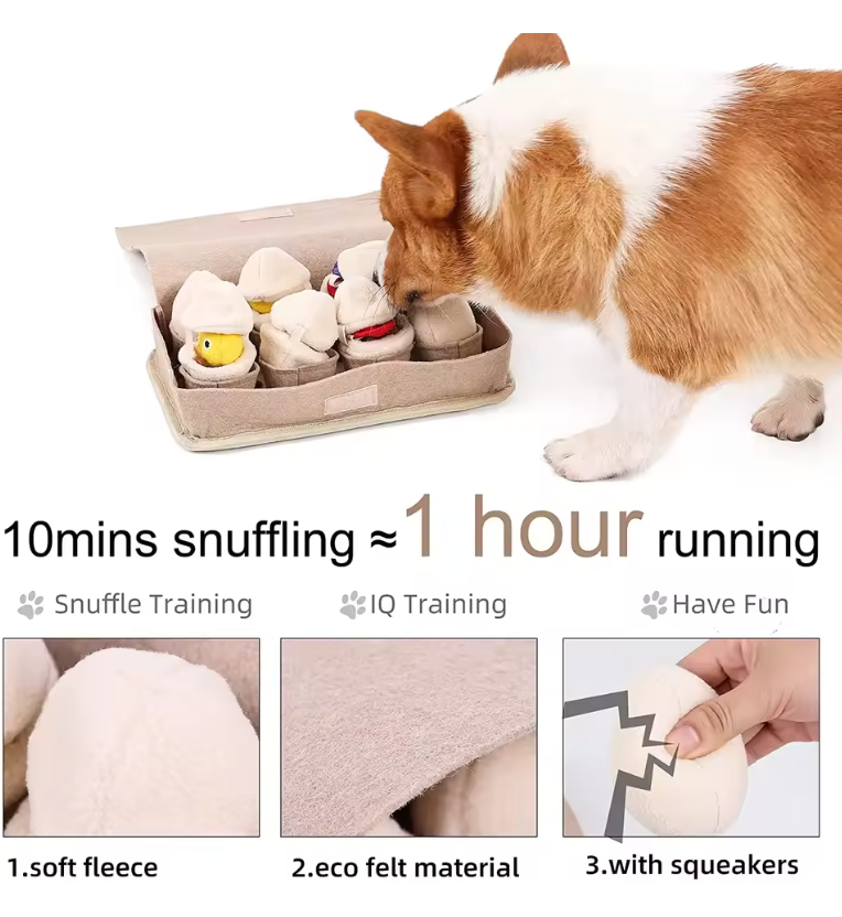 Egg-Harvest Interactive Snuffle-Box