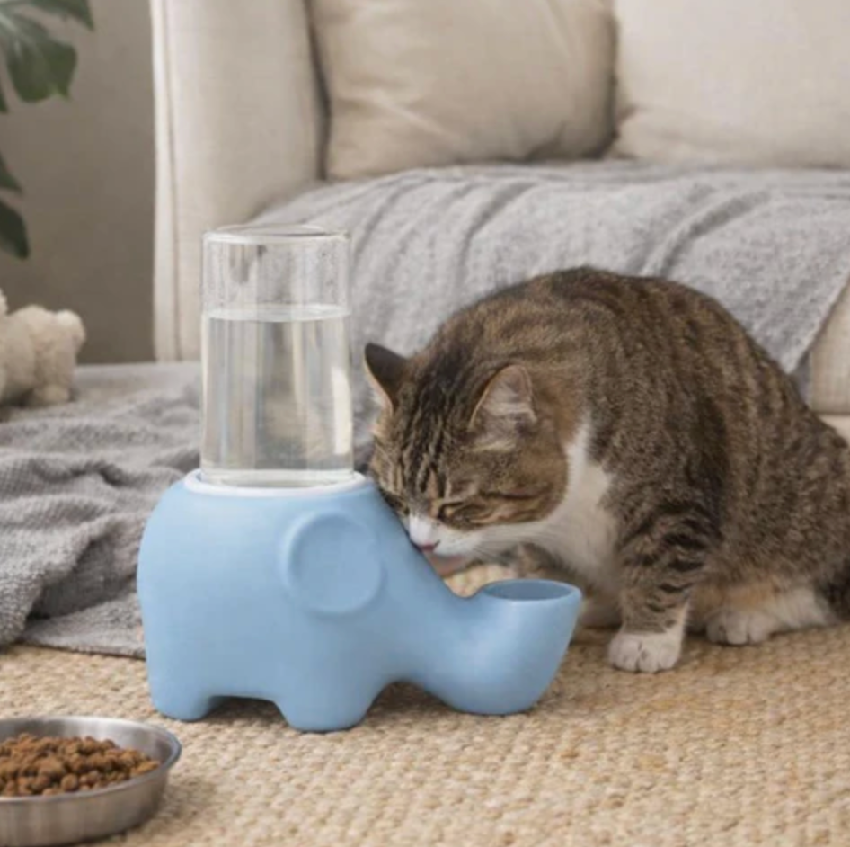 Oasis-Elephant Hydration-Station