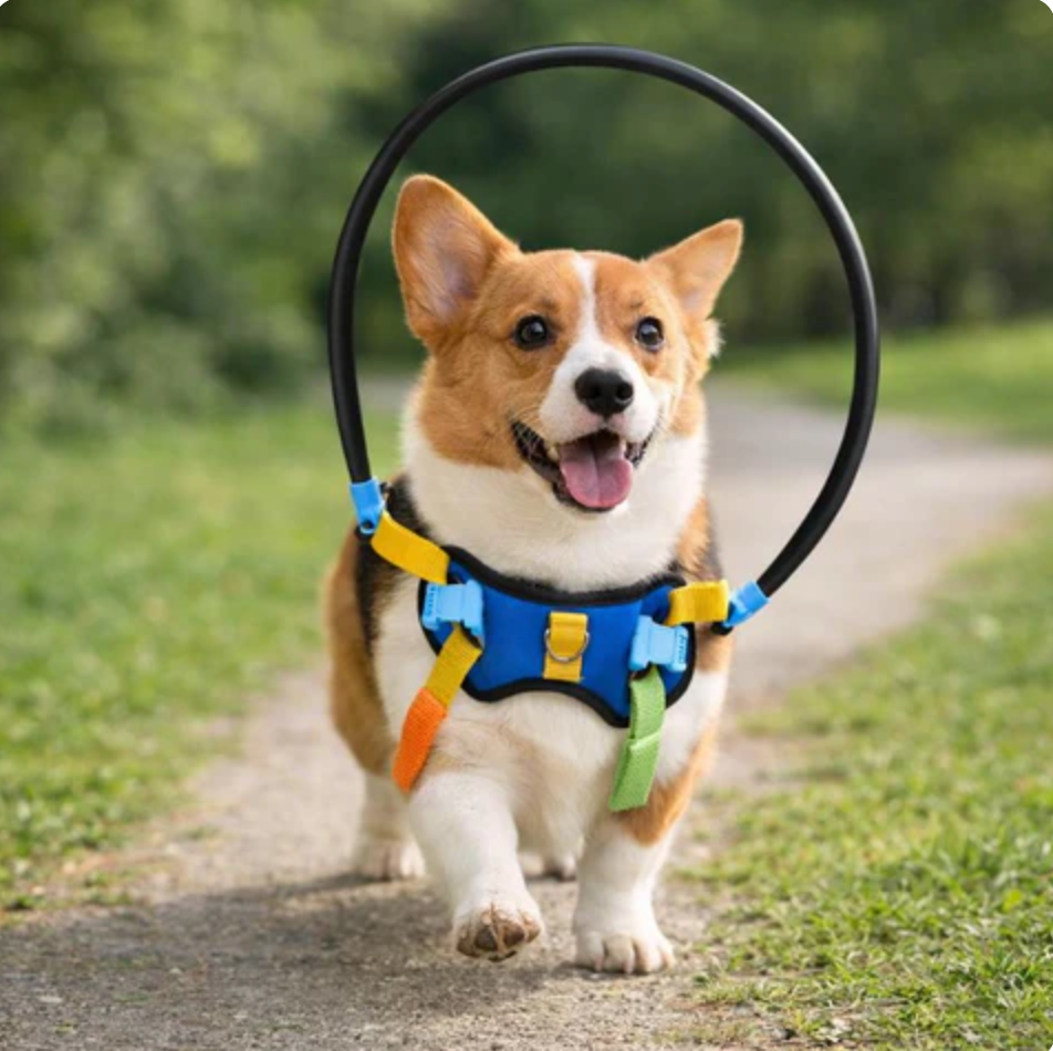 PawGuide