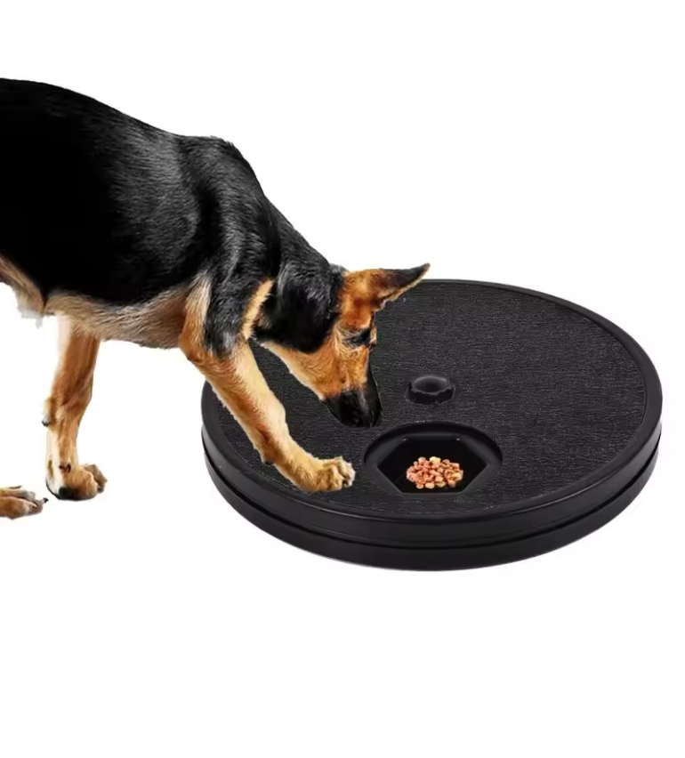 PawScratch