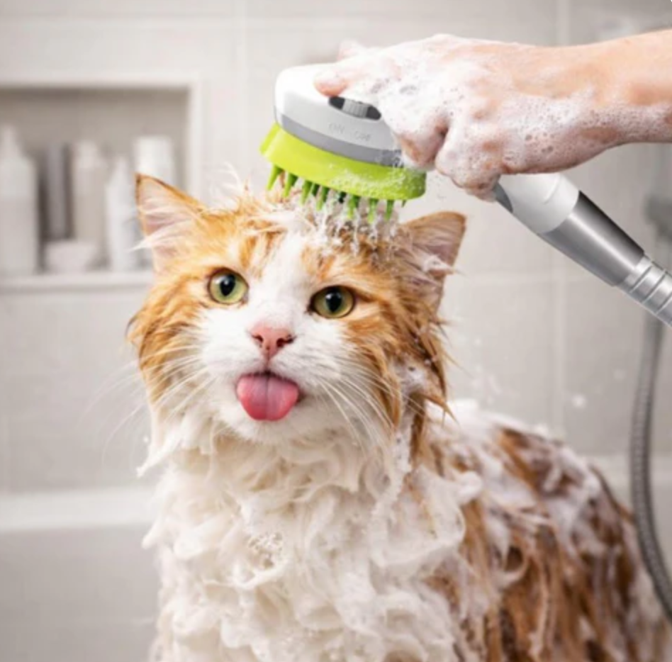 PawShower