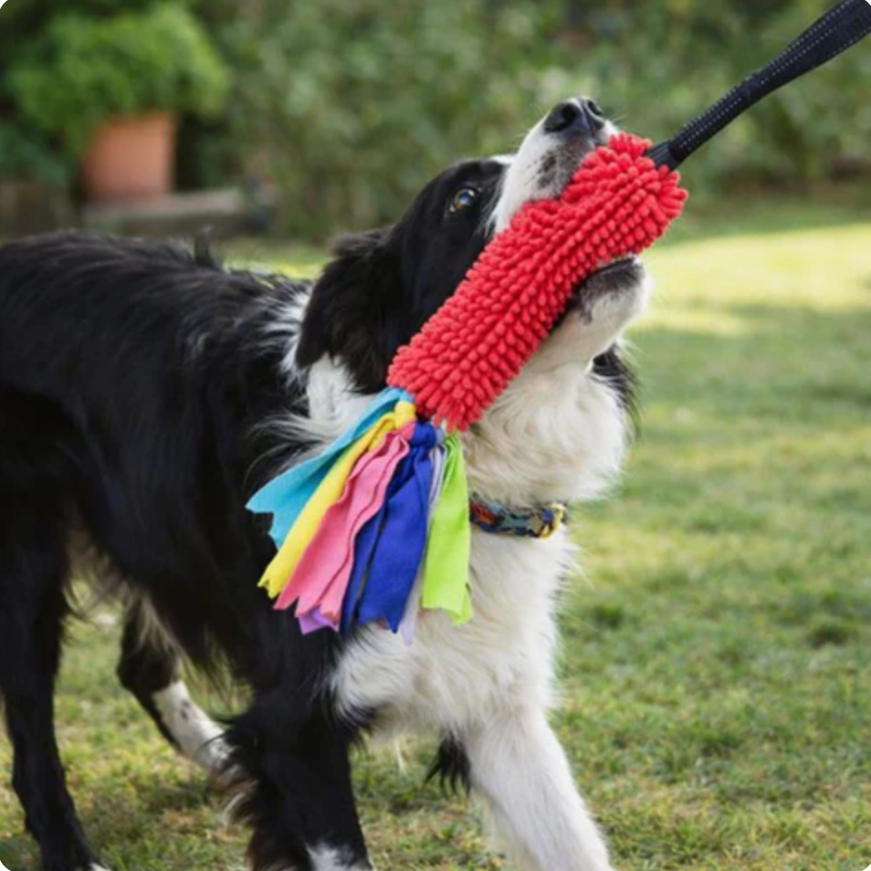 PawTug