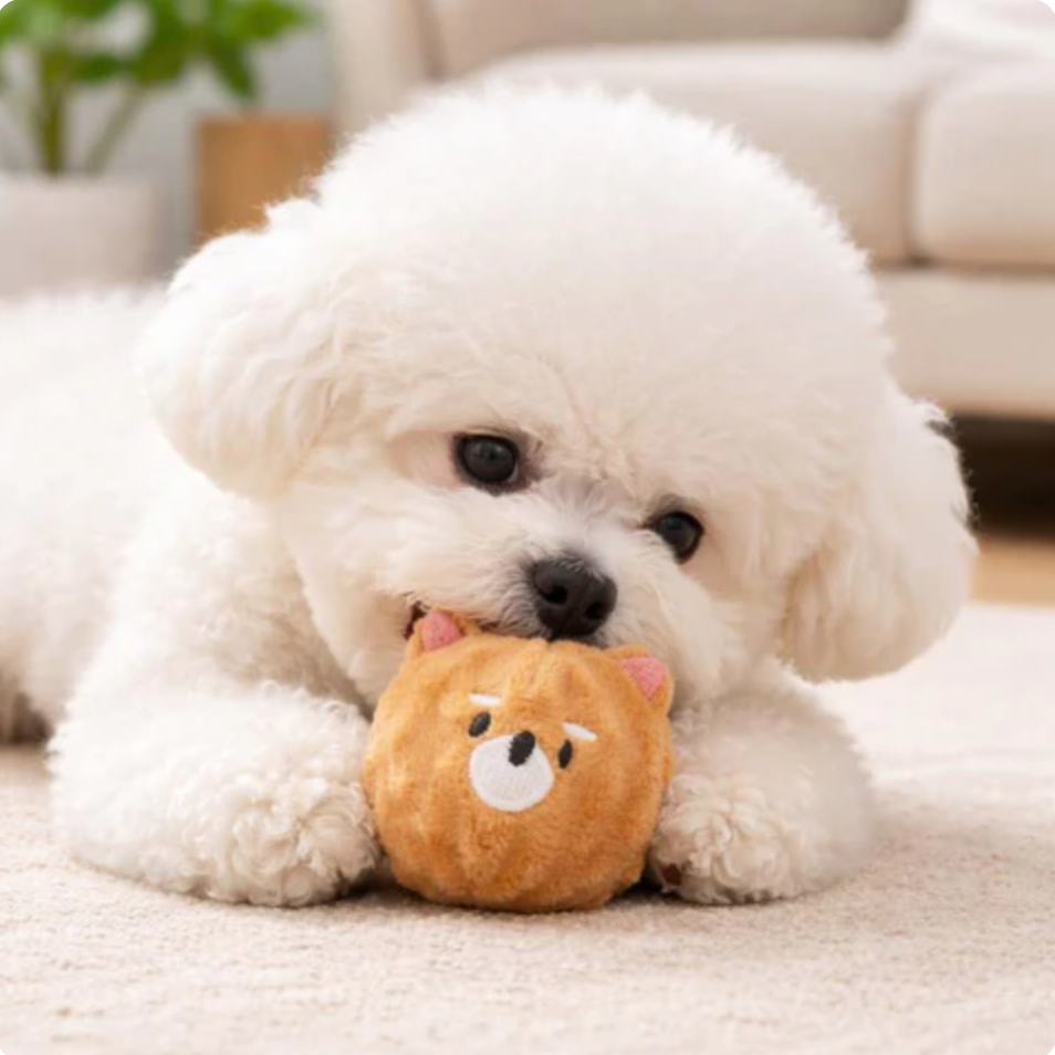 PawPop