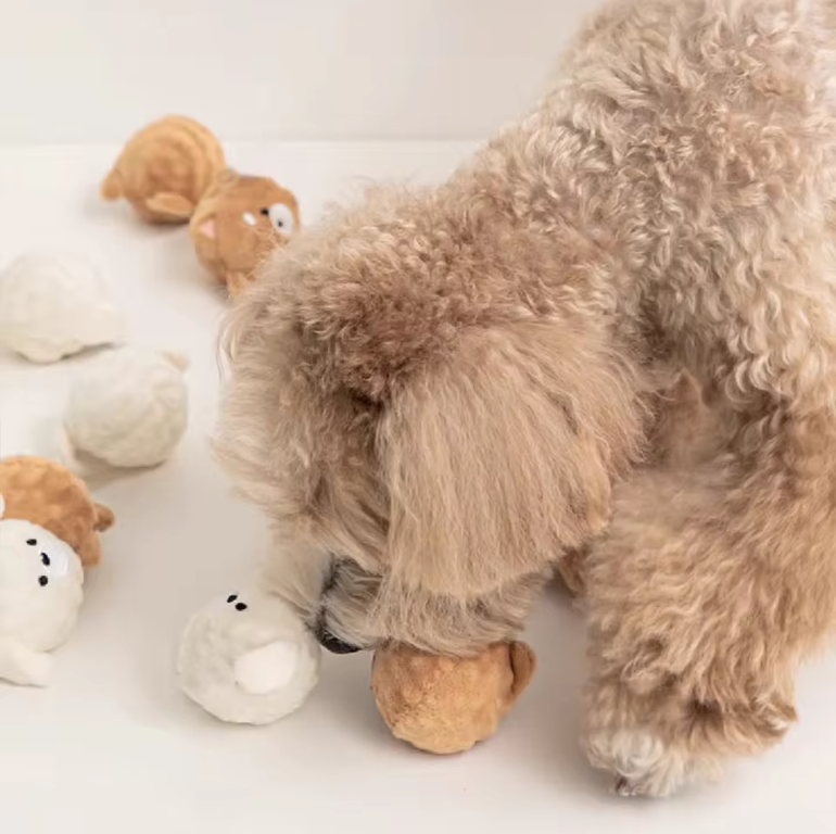 PawPop