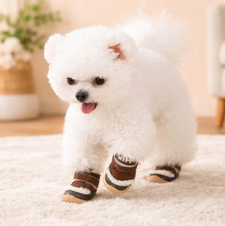 PawFrost
