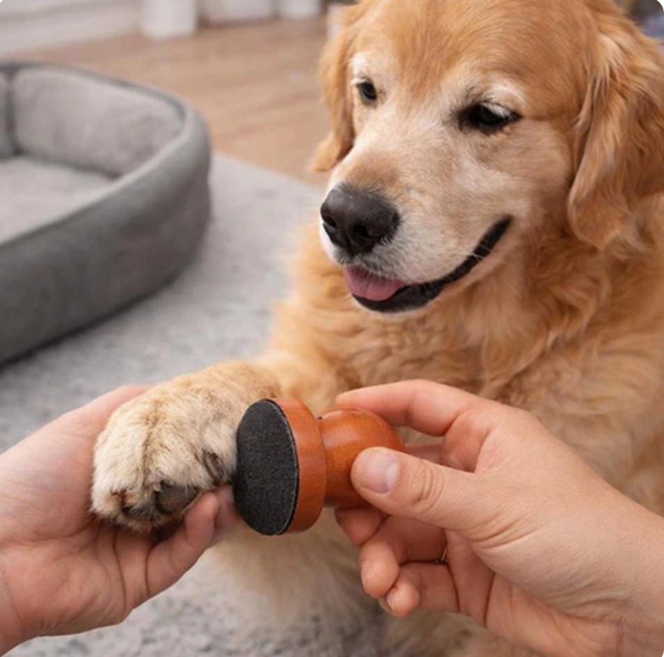 NailNudge