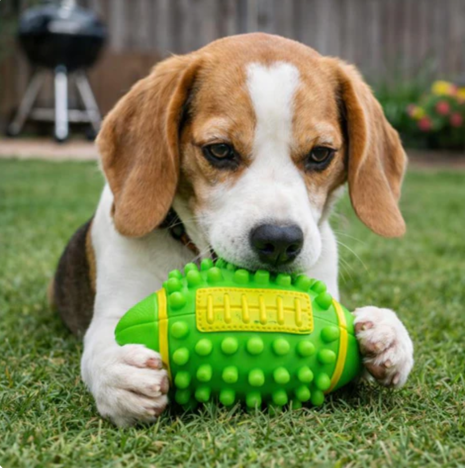 SpikeBone Dog Chew Toy