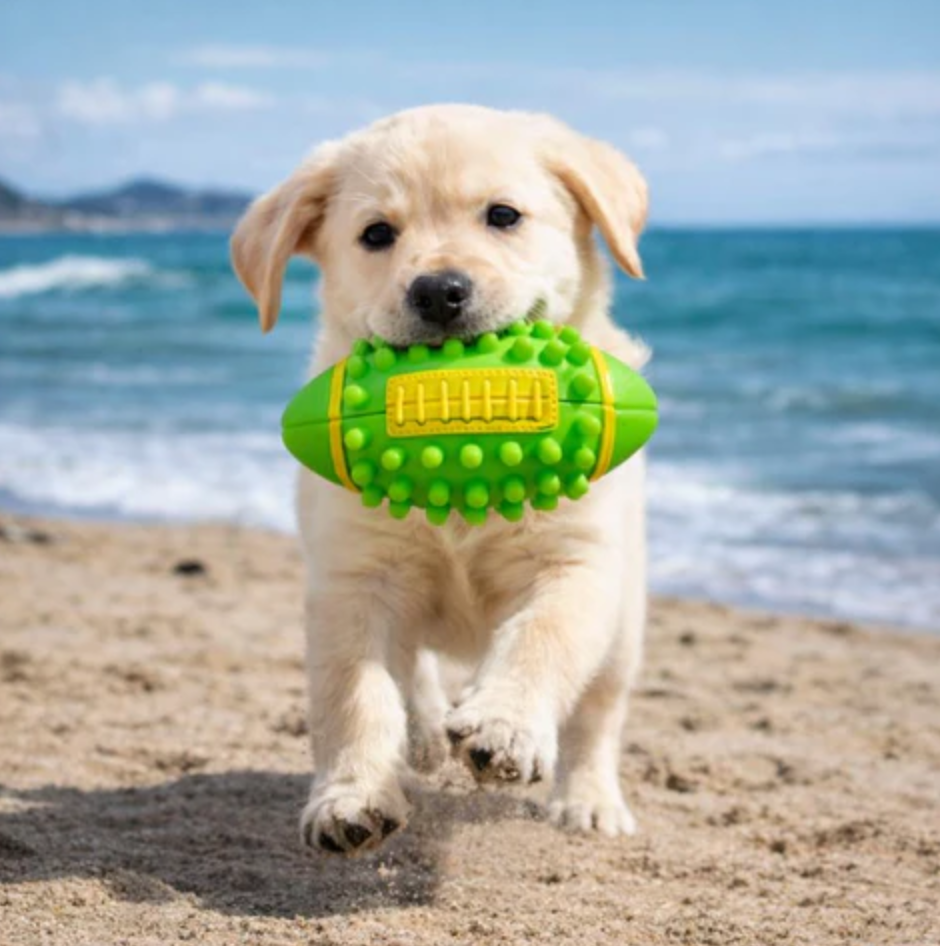 SpikeBone Dog Chew Toy