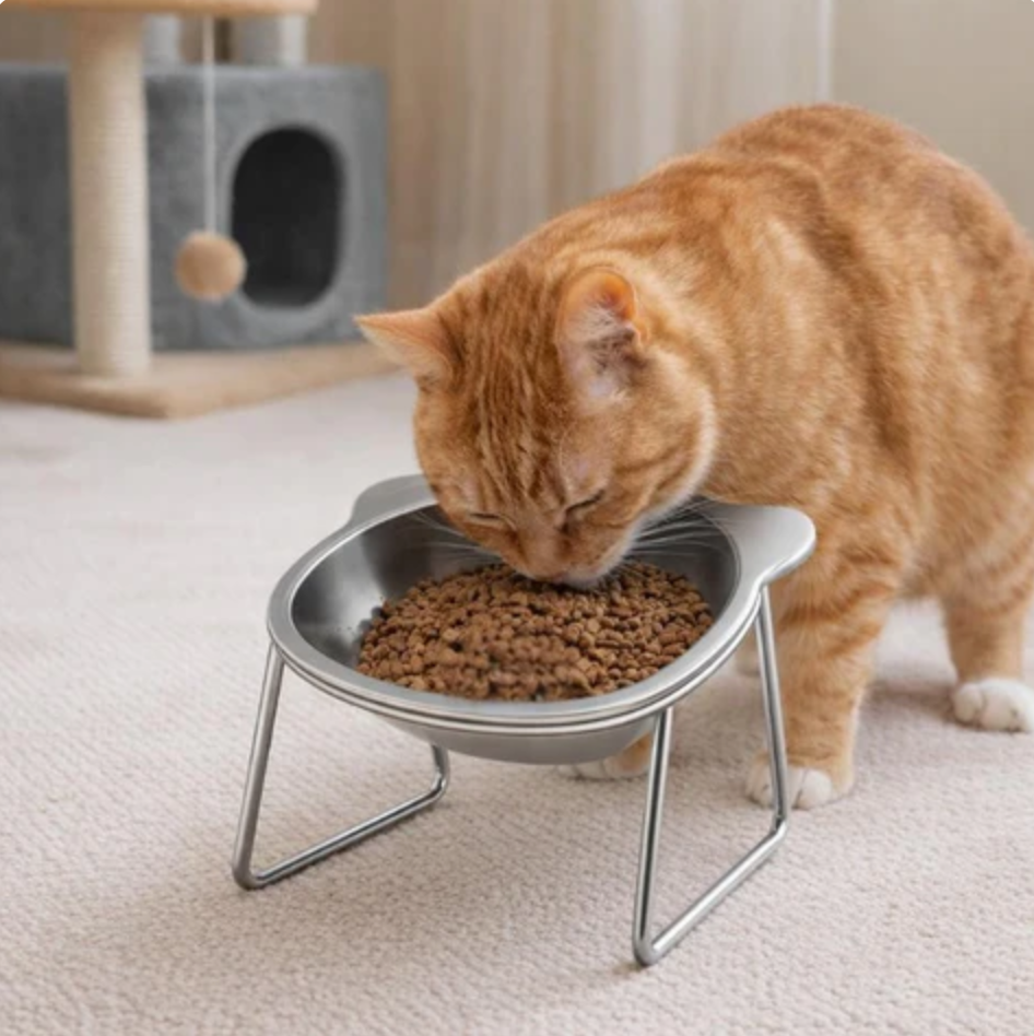 ElevoPet Raised Dog Bowl