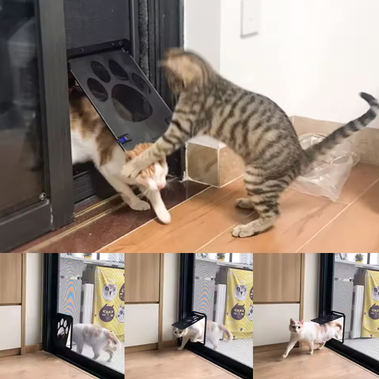 PawPass Cat Door Flap