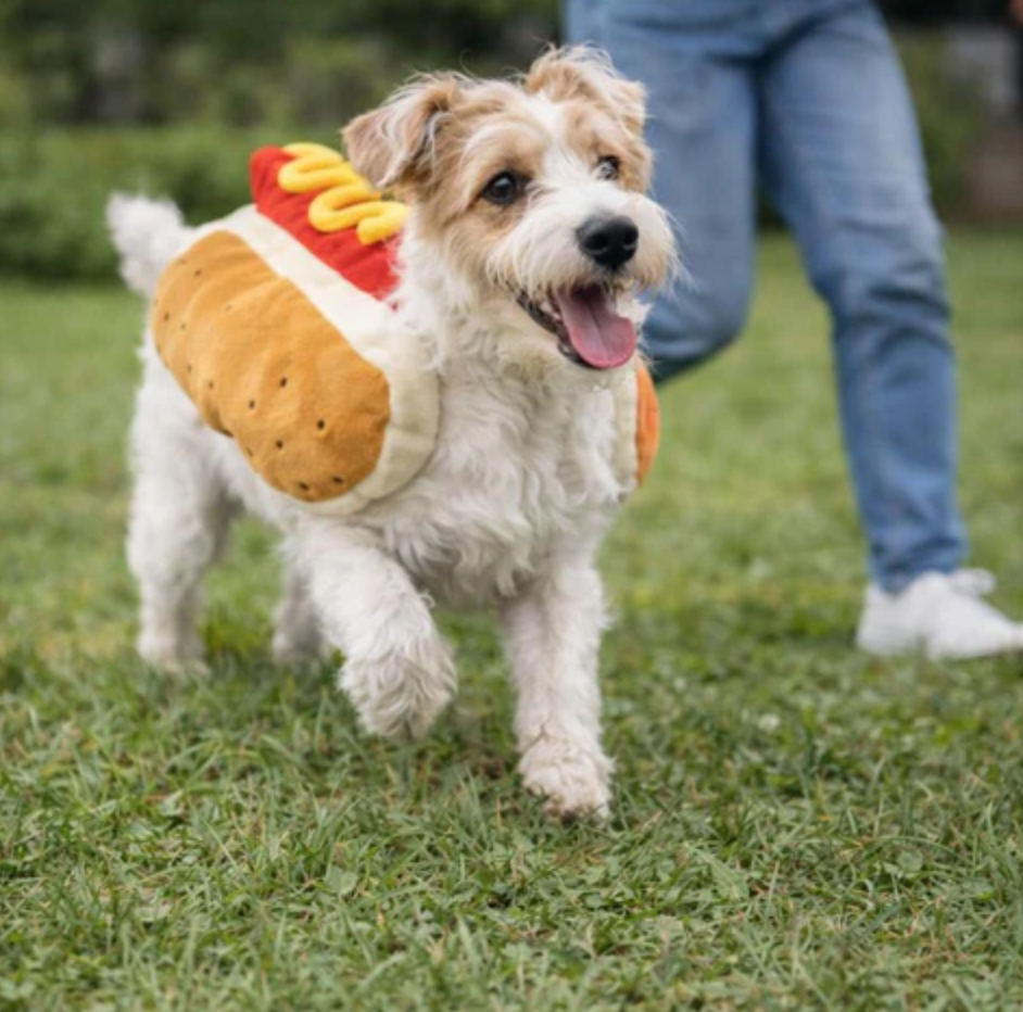 HotDog Dog Costume