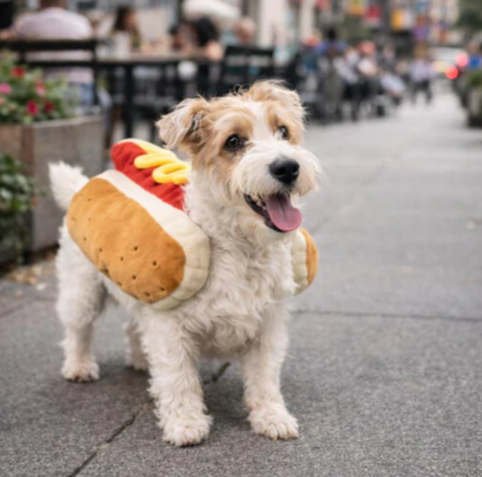 HotDog Dog Costume