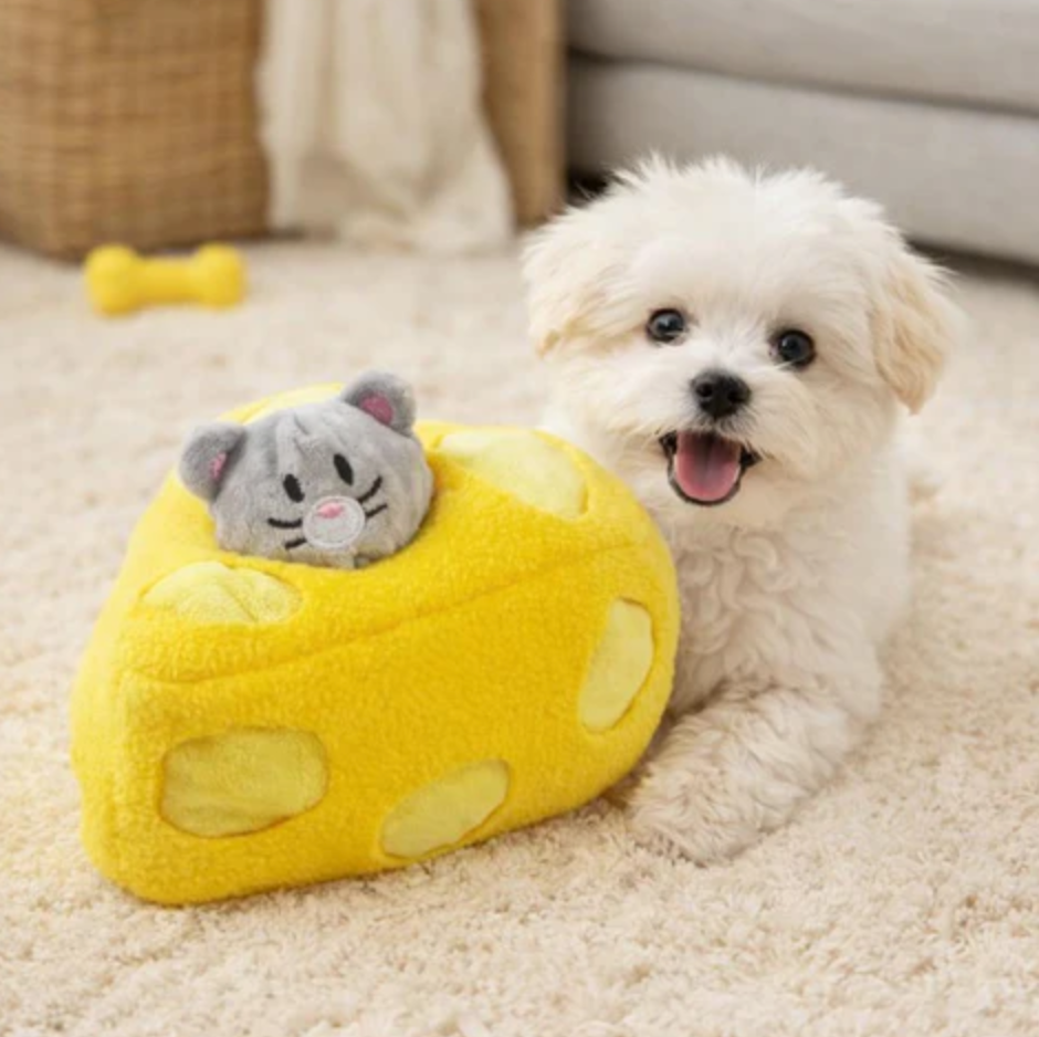 SnackSniff Dog Snuffle Mat