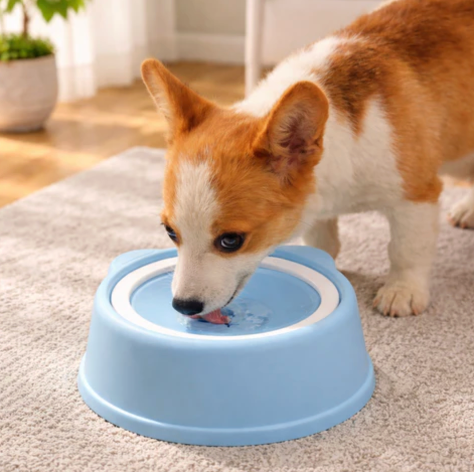 NoSpill Pet Water Bowl