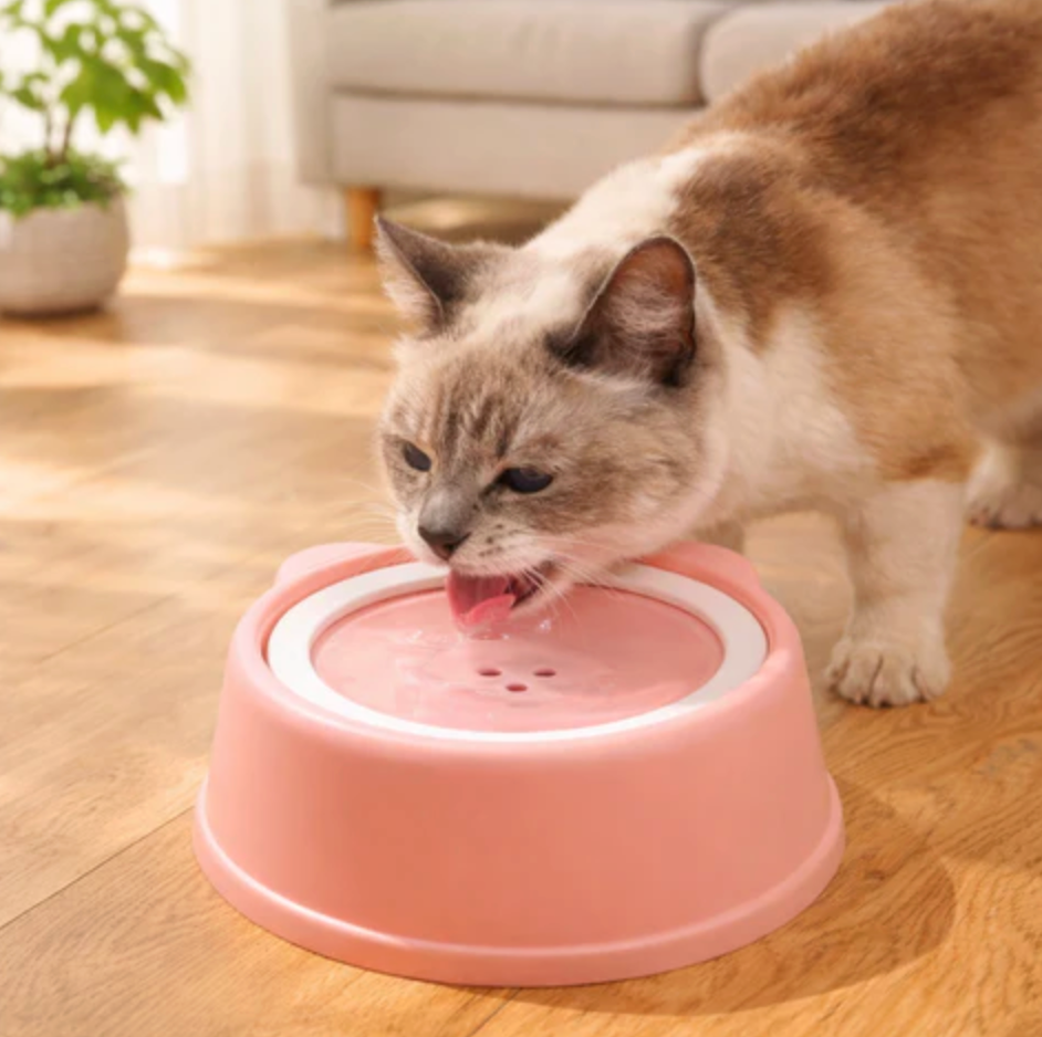 NoSpill Pet Water Bowl