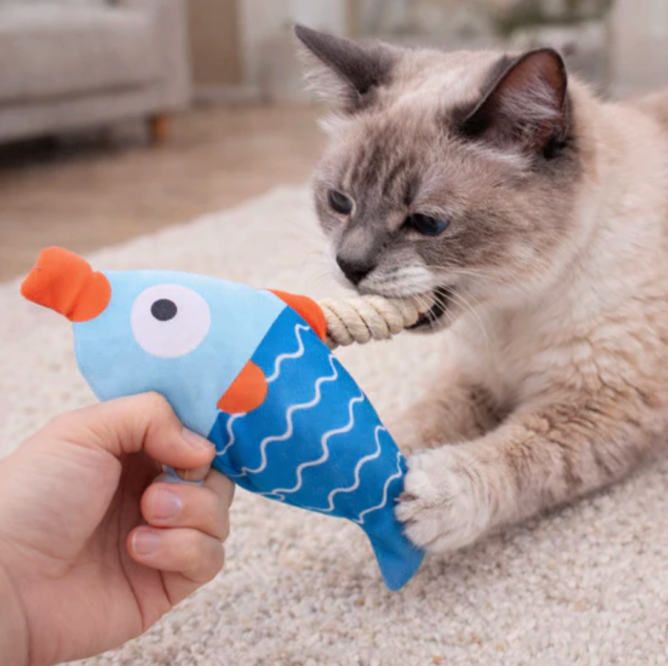 TugFish Dog Toy
