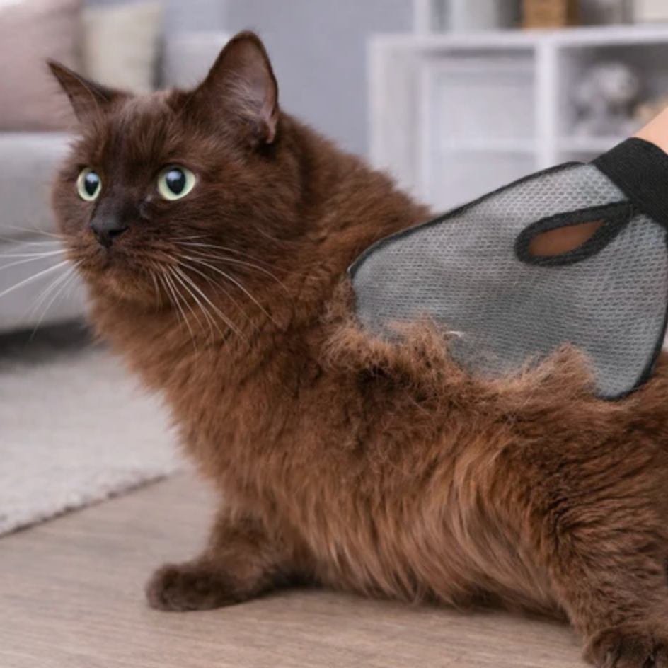Pet Grooming Glove