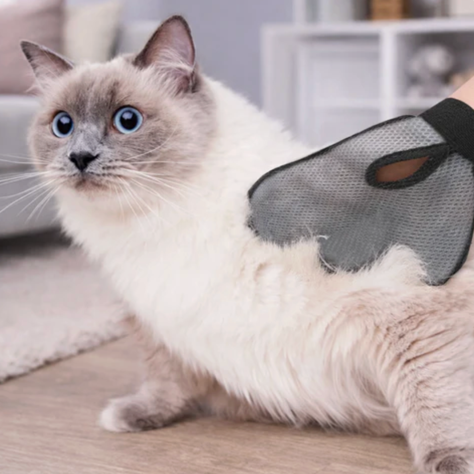 Pet Grooming Glove