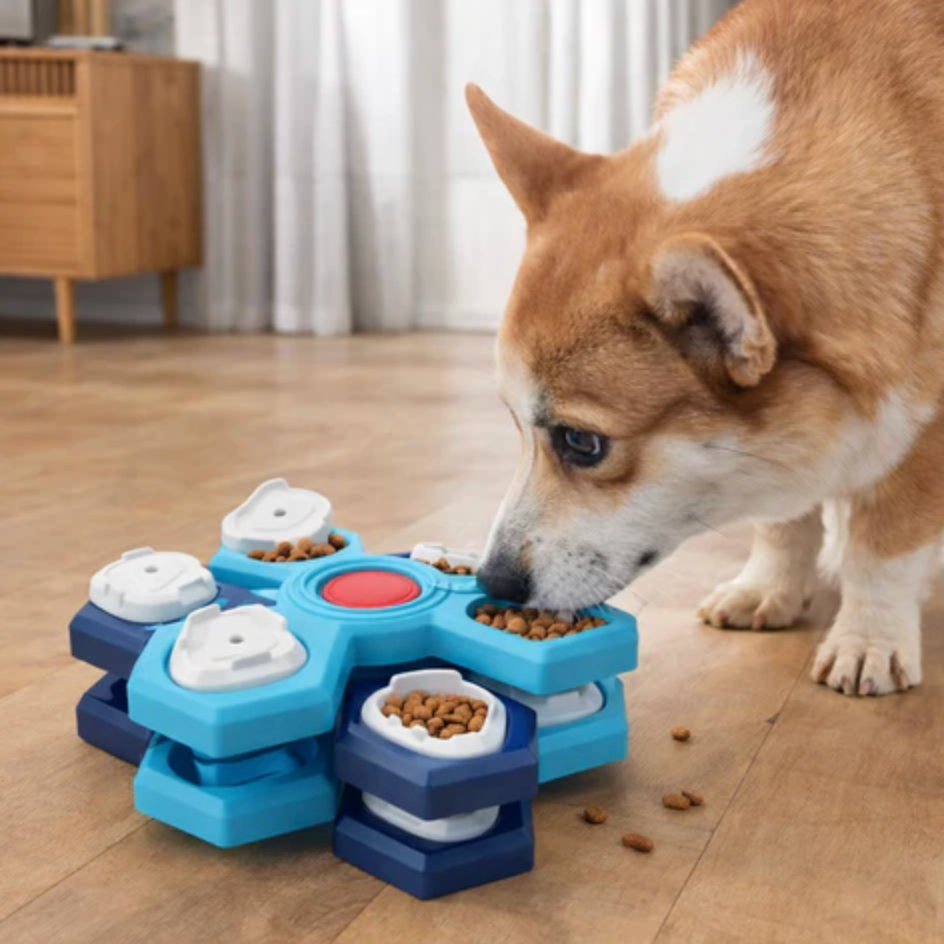 Pet Puzzle Feeder