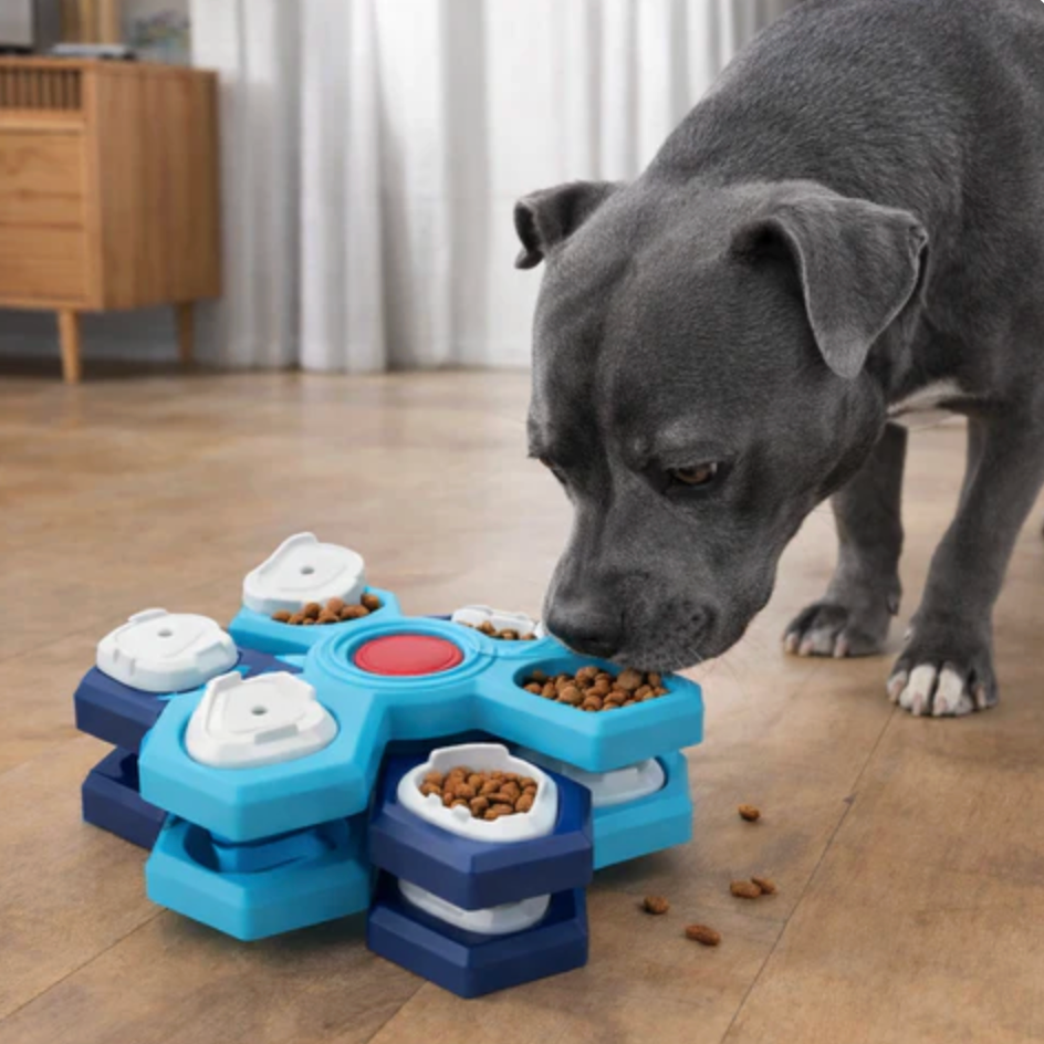 Pet Puzzle Feeder