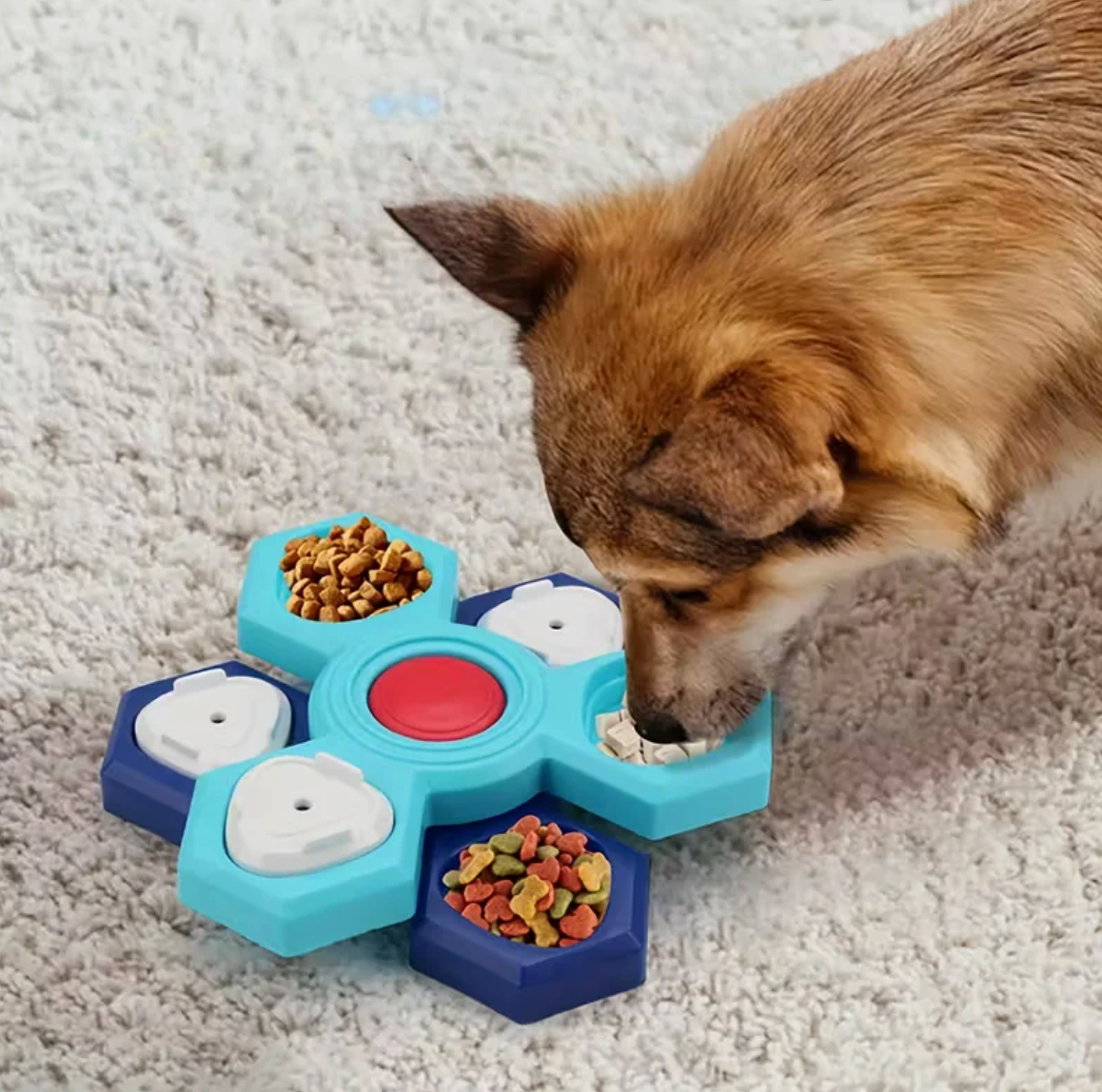 Pet Puzzle Feeder
