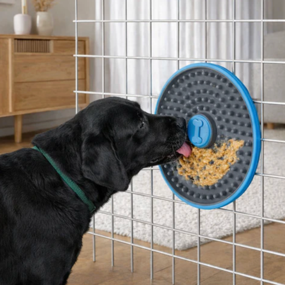 Wall Lick Feeder
