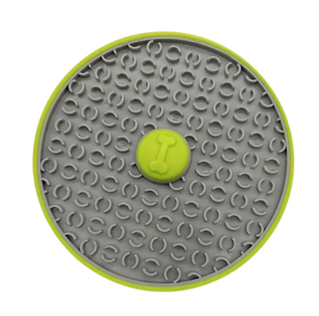 Wall Lick Feeder