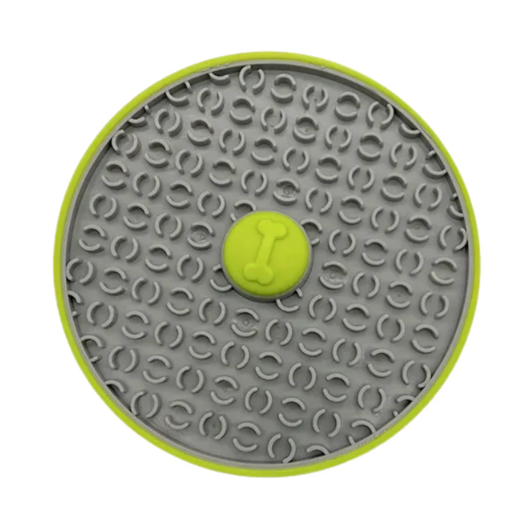 Wall Lick Feeder